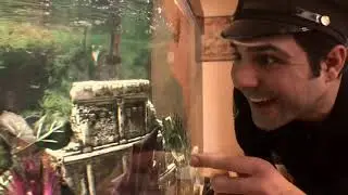 Bumbling cops