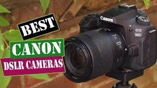 BEST CANON DSLR CAMERAS 2021