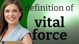 Vital force &bull; VITAL FORCE definition