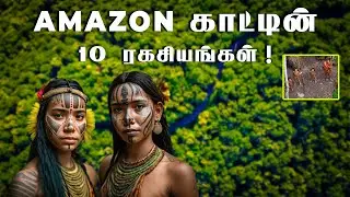 AMAZON காட்டின் 10  ரகசியங்கள் | Amazon forest  secrets | Tamil ! #amazonforest