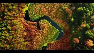 V&iacute;deos educatius del CEAB-CSIC. Cap&iacute;tol 2: Biodiversitat/Biodiversidad/Biodiversity
