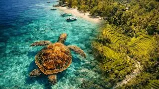 🇮🇩 Bali & Gili Islands from Above | Sea Turtles, Rice Terraces, Jungle & Tropical Beaches 🐢🌴✨