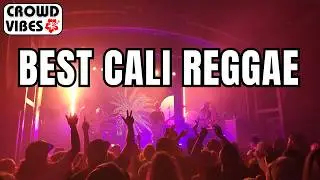 🏝️The 12 Best Cali Reggae albums of 2025: DEMN, The Movement, Bumpin Uglies, Hirie | S6 E1