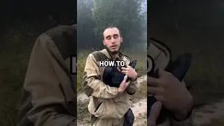 How To Befriend A Crow #howto #crow #how
