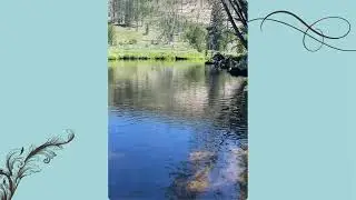 Gentle stream meditation with Colleen Fletcher