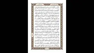 الوجه 204 من القرآن مكرر ١٠ مرات مع الآيات | سورة التوبة | الشيخ خليفة الطنيجي