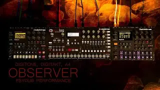 observer ... elektron digitone, digitakt, A4 ... psybient, psydub