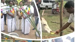#மயிலத்தமடு பட்டிப்பொங்கலும் தீர்தக்கப்படாத 856வது போராட்டமும்