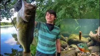 Nasty Slugs Catch Big Fish || Family Fishing Adventure Pierce Lake