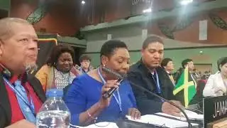 The Hon. Olivia 'Babsy' Grange UNESCO speech on reggae to global cultural heritage list