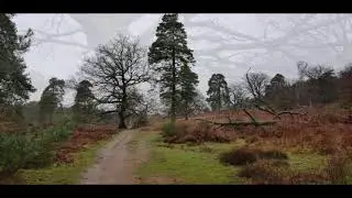 Wahnerheide...Natur zum genie&szlig;en und entspannen
