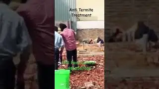#termitecontrol #homepestcontrol #construction #pestcontrolnearme #pestmanagement #termites #pest