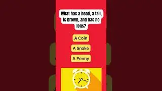 Crack the Enigma: A Brain Teaser Adventure #quiz #riddles #youtubeshorts #challenge #funny