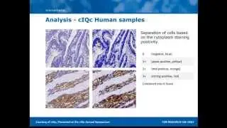 Automating Immunohistochemistry Standardization in your Laboratory