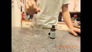 Converting Sucrose to Glucose Using the Invertase Enzyme