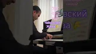 Виртуозная музыка Чайковского | неустанная работа #piano #pianist #tchaikovsky