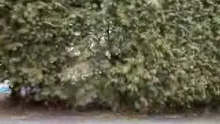 V010309 14 20
