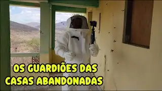 Antiga Comunidade Baterias, Barragem de Jucazinho, Surubim - PE | Atualmente Abandonada