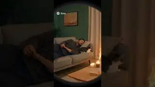 My Cat Woke Me Up. The House Was on Fire. #hero  #cat #petcam  #fire