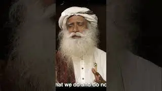 Pleasant Experiences: Actions Defined by Our Times