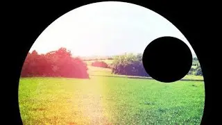 PETE NAMLOOK THE AMBIENT GARDENER