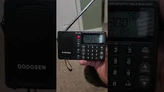 DX 286 Radio with automotive chip.   Best in image rejection and S&N ratio.