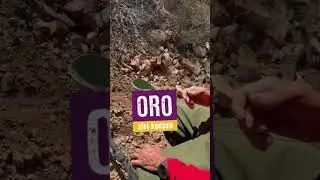 Sali&oacute; oro y reliquia