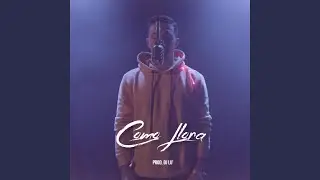 Como Llora In Italiano