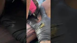 How To Tattoo Hair💇TEXT (310)-986-0886 TO BOOK🗓️