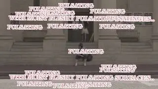 I am the Locus - A Tribute to Adrian Piper's Work - Experimental Film