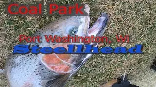 Shore Fishing for Steelhead in Port Washington