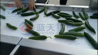 customer using the purchased vegetable automatic washing machine to clean cucumber