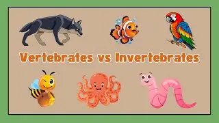Vertebrates vs. Invertebrates: What&rsquo;s the Difference? | Animal Kingdom for Kids | Science Fun!