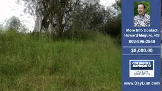 Land For Sale Puna HI Real Estate on 8000 SqFt-Acres $8000.00 Puna HI Howard Meguro RS