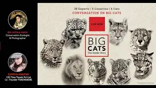 Big Cats : The Inside Story | Teaser | Introduction to Series | Latika Nath | Supriya Khaitan