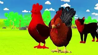 Slide Game With Dog Cat Fox Donkey Gorilla bear Tiger - 3d Animal Game - Happy cartoony 3d Animals