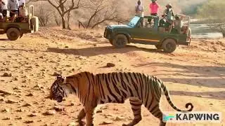 Ranthambore Decommentary