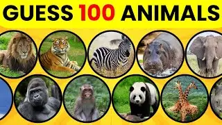Guess the Animal... in 4 Seconds!