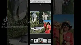 Спиннинговая удочка Goture Xceed. 💢ССЫЛКА 👆👆В ОПИСАНИИ К ВИДЕО ПРИКРЕПЛЁННОМУ ВЫШЕ.