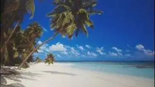 Traveler's Delight