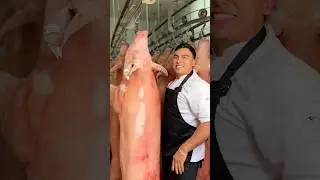 Lechona 🐷 #empecemos #cerdo #lechona #comida #cocina #diciembre #navidad #carne #navidad #colombia