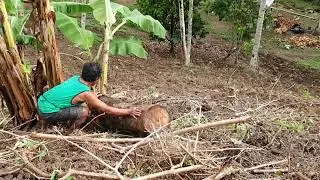 Moving heavy log.