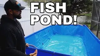 BUILDING NEW Backyard POOL POND for MEGA FISH BREEDING EXPERIMENT!!!