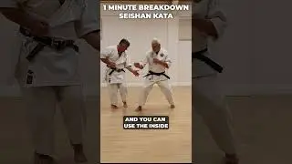 Seishan Kata: Deflection and counter, final moves #shorts