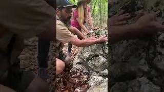 Finding Quartz in the Wild (it&rsquo;s hidden in plain sight)