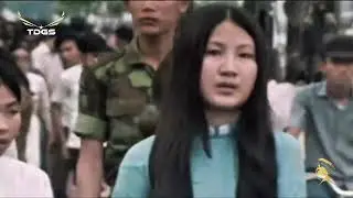 Nhạc Tết Xưa  Tuyển Chọn Hay Nhất - Đón Xuân 2026 | LK Cánh Bướm Vườn Xuân