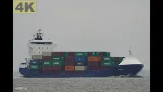 4K - SVEN D - Shipspotting Elbe near Otterndorf 🇩🇪 - 4K VIDEO