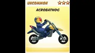 Acrobat Hog - God-Tier Bike