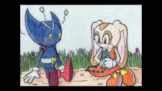 Sonic Couples - Bokkun x Cream
