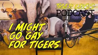 Gay For Tigers | Tiger Crisis Podcast | Bonus Features